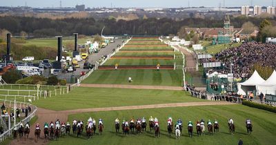 Climate activists ‘planning to ruin Grand National’