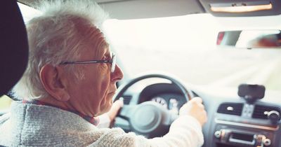 Dog owners warning as you could be fined £5,000 thanks to Highway Code change