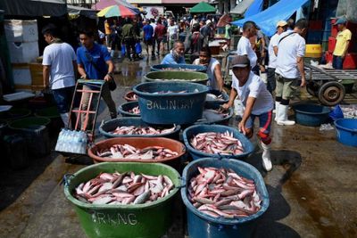 Philippine leader cheers European move as 50,000 seafarers' jobs protected