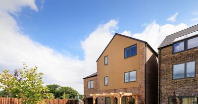 Develop North PLC delivers 40% loan book boost in challenging economy