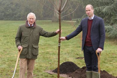 King Charles praises Queen’s Green Canopy scheme after 3 million trees planted