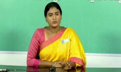 YS Sharmila calls Bandi Sanjay and A Revanth Reddy for "joint action plan" against BRS