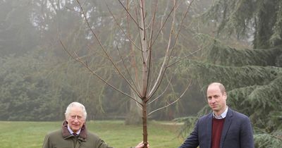 Heartbreaking story behind this photo as King Charles and William finish job on Queen's behalf