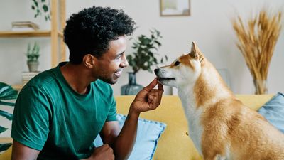 Trainer shares tip for nailing stress-free walks with your dog, and it starts before you even leave the house