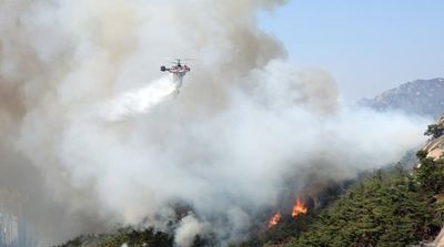 Forest Fire in Central Seoul Forces Evacuation of 120 Homes