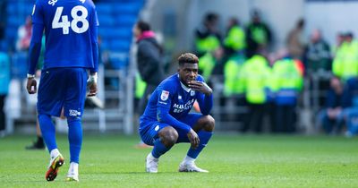 Cardiff City's inexplicably woeful record against Swansea City is baffling and points to a far bigger problem