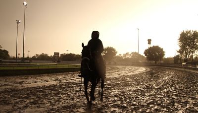 Developers eye new horse racing track in Richton Park as Hawthorne ‘racino’ plan stalls
