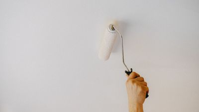 Decorating professionals reveal the common ceiling painting mistakes to avoid