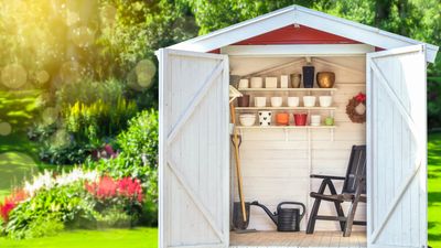 7 things you should never store in the shed — but probably are