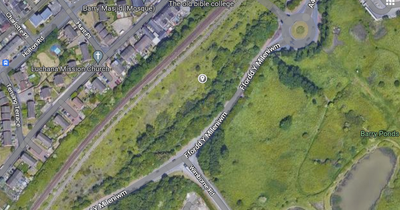 Plans to build flats next to railway line in Barry approved despite quality of life concerns
