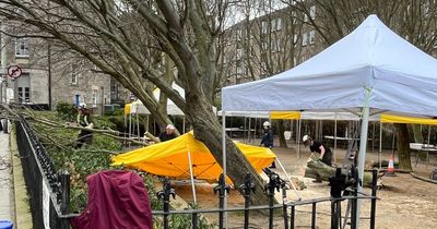 Opening of Edinburgh Stockbridge Market delayed after tree falls and crushes stalls