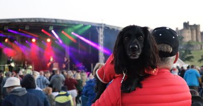 Alnwick's VW festival Mighty Dub aims to drive ticket sales with vintage cars, street food and non-stop music