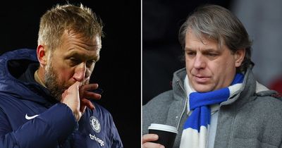 Chelsea owners lost their nerve by sacking Graham Potter after eye-catching promises