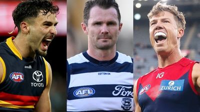 AFL Round-Up: Geelong in trouble, Adelaide's Showdown special and Melbourne set a standard against Sydney