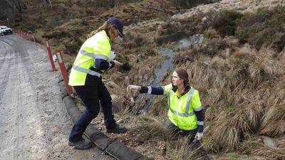 Snowy Hydro and Webuild fined $30k over Kosciuszko National Park pollution incidents