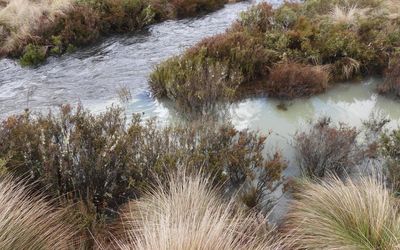 Snowy Hydro fined over river pollution in Kosciuszko NP
