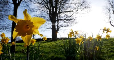 Ireland weather: Met Eireann's five-day forecast shows arrival of stunning Bank Holiday sunshine for three areas