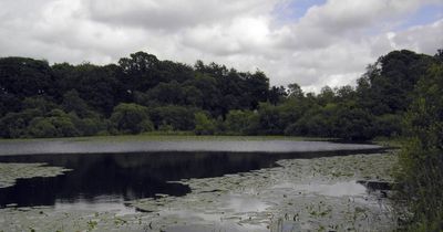 Plans for water park in Dumfries given approval