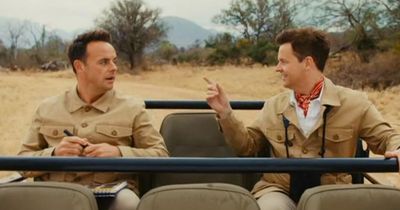 Ant and Dec tease three new I'm A Celeb South Africa stars after line-up news