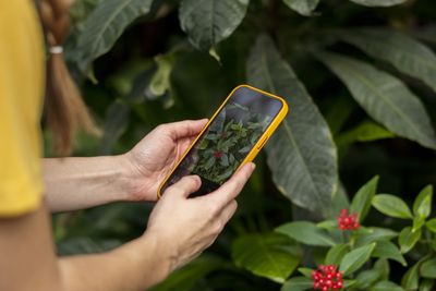 Your iPhone has a free built-in plant identifier you probably didn't know about – it might be Apple's best secret feature