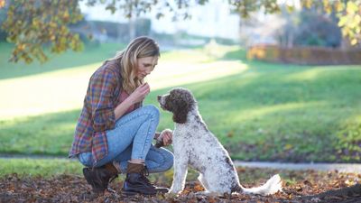 Trainer reveals the secret to a well mannered and obedient dog — and it all comes down to how you reward them