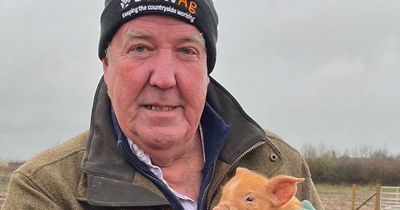 Jeremy Clarkson suffers sleepless nights after ‘gut-wrenching’ loss on Diddly Squat Farm