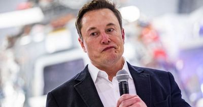 Elon Musk and other tech leaders urge 'immediate' pause on AI development amid 'risk to society'