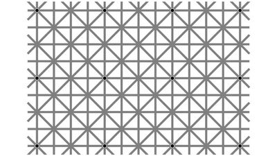 This wild optical illusion is driving TikTok dotty
