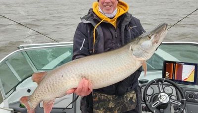 Really big muskie, caught prefishing a walleye tournament, is a surprise fish of a lifetime