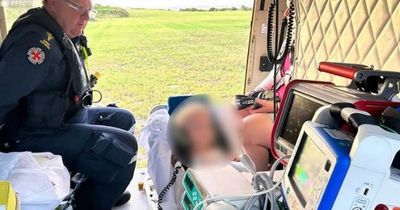 Girl, 6, mauled by wild dog while swimming leaving her with head injuries