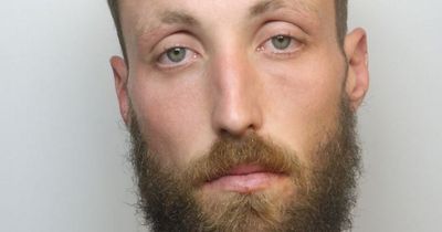 Bricklayer beeped at police on M32 before running red light and crashing car