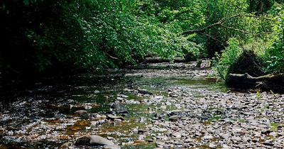 The terrifying amount of sewage poured into rivers, lakes and seas around Wales last year