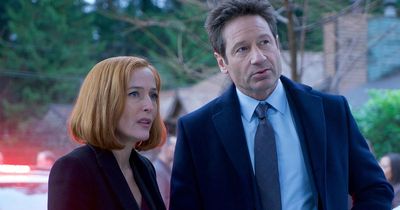 X-Files series set for reboot with Black Panther director looking for a 'diverse cast'