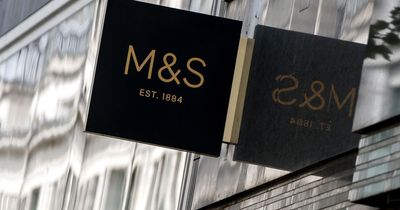 M&S shoppers love 'smart but comfy' £22 jeggings 'suitable for any occasion'