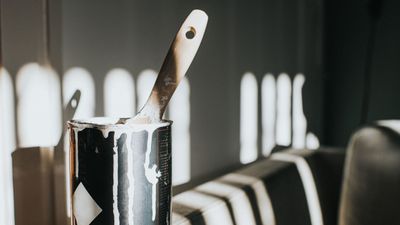 How to fix peeling paint in 4 steps – and reasons why your paint is crumbling