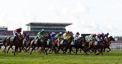 2023 Grand National: The Gingearmy's Aintree Preview Night is back