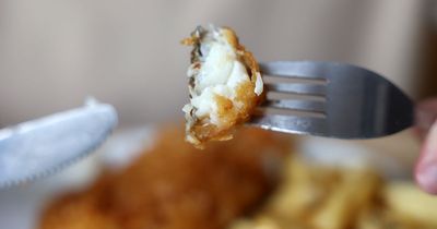 Resilience of Great British fish and chip market underlined as supplier enjoys strong growth and eyes more