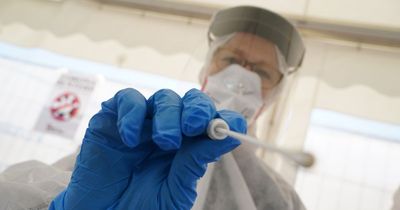 New test will revolutionise detection of viruses such as Covid