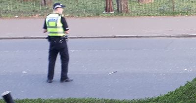 Man rushed to hospital after 'disturbance' in Glasgow's Queen's Park as cops examine knife at scene
