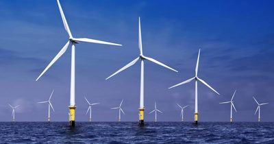 Hunter Offshore Wind project should be doubled in size, executive says