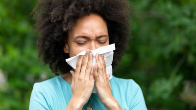 The 5 most common seasonal allergies