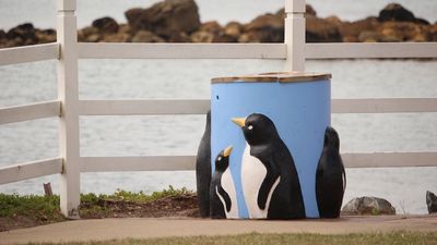 Penguin bins snubbed by Tasmanian heritage register