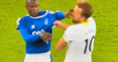 Harry Kane struck in face in moment of madness as Abdoulaye Doucoure sent off for Everton
