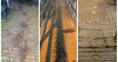 Suspect who jumped in canal to evade police is caught - after leaving trail of water behind him