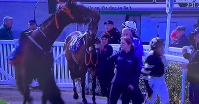 Jockey bravely carries on after being given 'little kick in the a**e'