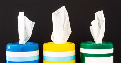 Ban on plastic wet wipes possible in new government water plan