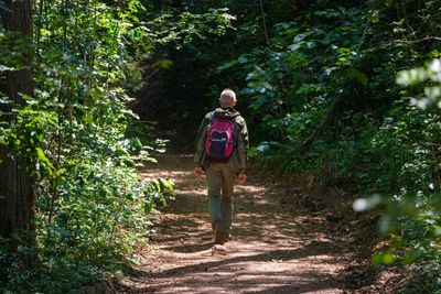 Prescribed time in nature linked to improvements in anxiety, depression and blood pressure