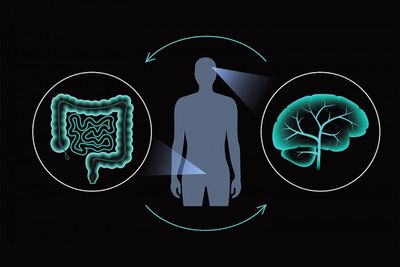 Research says gut-brain axis plays role in mental health