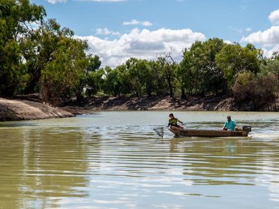 Fish washing up in Menindee, water tests confirm algae