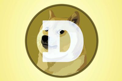 Dogecoin price spikes after Elon Musk changes Twitter logo to the Shiba Inu dog